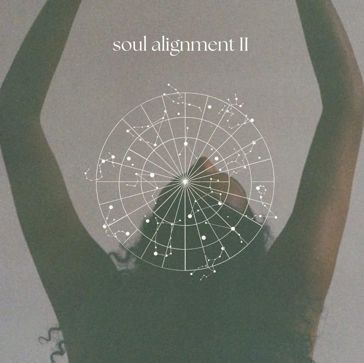 soul alignment II (dive into your soul’s purpose) 1 hr